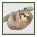 Search for sloth decor Picture
