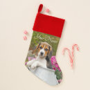 Search for beagle christmas stockings Puppy