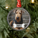 Search for airedale terrier ornaments Dog