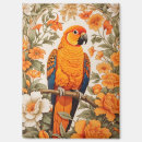 Search for sun conure Floral