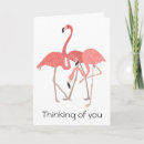 Search for flamingo birds cards tropical