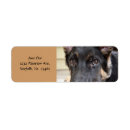 Search for german shepherd return address labels Pet