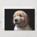 Search for golden retriever thank you cards Canine