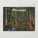 Search for mississippi postcards America