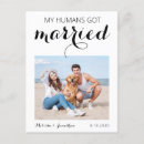 Search for funny wedding announcement cards Elopement
