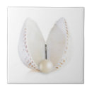 Search for seashell tiles Elegant