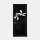 Search for black and white flower drawing art Floral