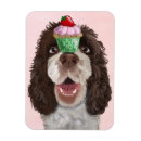 Search for springer spaniel Cupcake