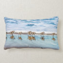 Search for sandpiper pillows Shorebird
