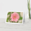 Search for happy birthday daisy flower postcards Gerbera