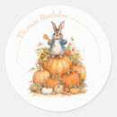 Search for bunny stickers animal