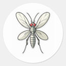 Search for mosquito stickers Insect