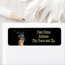Search for wolf return address labels Night
