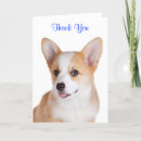 Search for corgi thank you cards Thanks