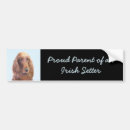 Search for irish bumper stickers Setter