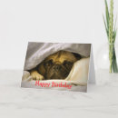Search for pug birthday cards Puppies