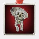 Search for maltipoo ornaments Pet