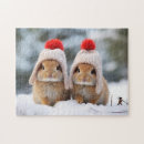 Search for bunny rabbit puzzles Snow