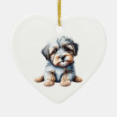 Search for havanese gifts Shelter