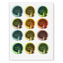 Search for alligator temporary tattoos Cartoon