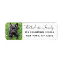 Search for french bulldog return address labels Frenchie