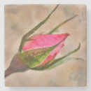 Search for pink marble coasters Flower