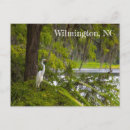 Search for wilmington north carolina postcards Nature