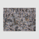 Search for pine tree tissue paper Evergreen