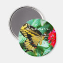 Search for butterfly magnets Photography