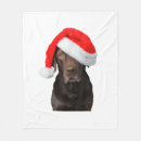 Search for chocolate lab blankets Animal