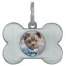 Search for modern pet tags Create your own