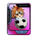 Search for soccer magnets Green