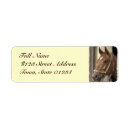 Search for horse return address labels Equestrian