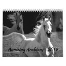 Search for horse calendars Arabian