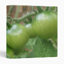 Search for food binders Tomatoes