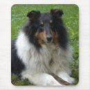 Search for rough collie gifts Canine