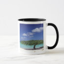 Search for aruba mugs Eagle beach