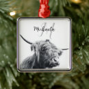 Search for scottish highland cow ornaments Scotland