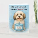 Search for havanese dog cards Humor