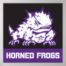 Search for frog posters Tcu