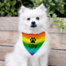 Search for dog supplies Ombre