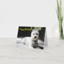Search for blank birthday cards Dog