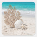 Search for sand dollar stickers White