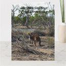 Search for kangaroo birthday cards Animal