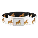 Search for unicorn belts Magical