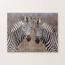 Search for zebra puzzles Equus quagga
