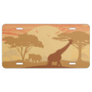 Search for elephant license plates Safari