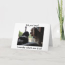 Search for havanese dog cards Photography