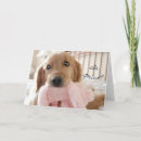 Search for golden retriever valentines day cards Cute