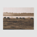 Search for horse tissue paper Western